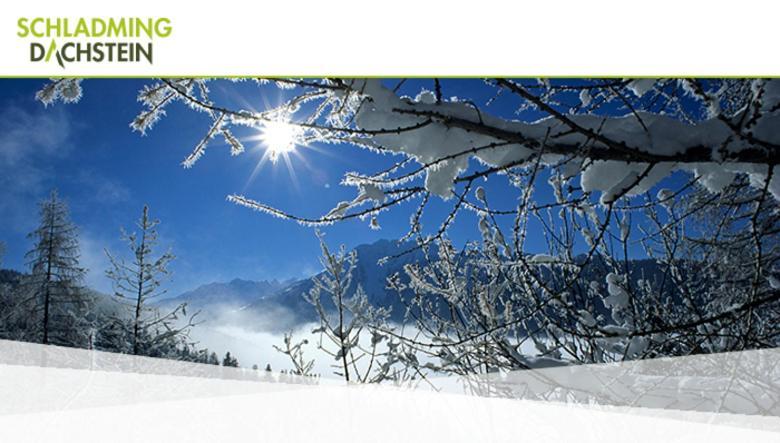 Hotel Vitaler Landauerhof Schladming Bagian luar foto